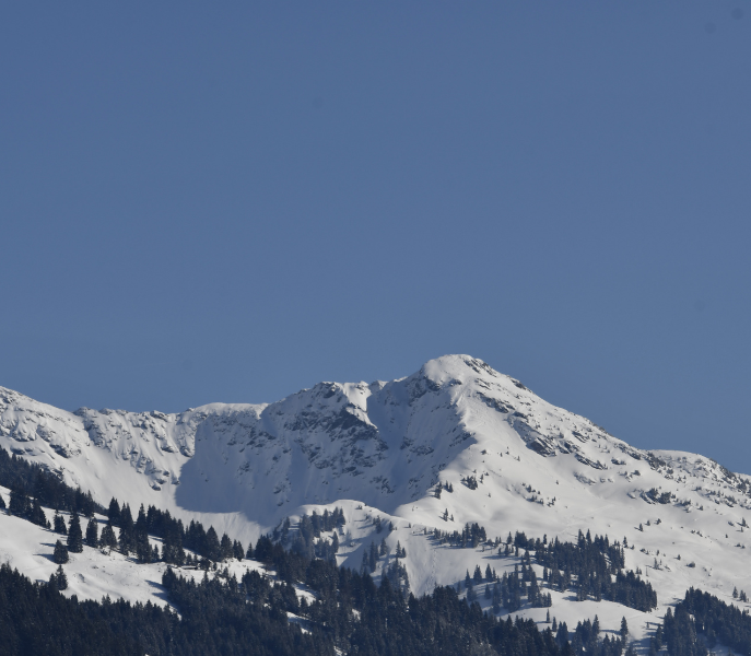 De Hahnenkamm-race: een kijkje in de geschiedenis