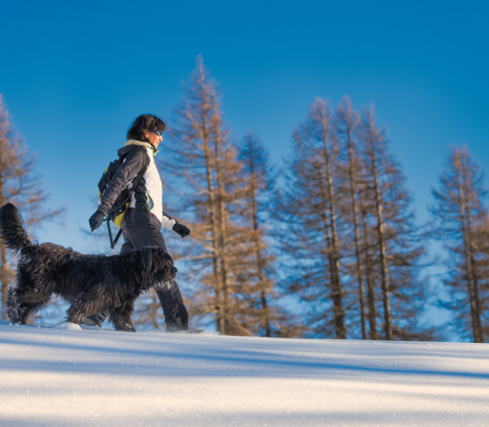 Winterwandelen en tochten rond Fiss: rustige routes met uitzicht op het Oberinntal