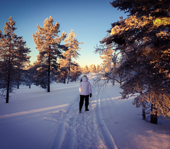 Winterwandelingen en langlaufen rond Hippach: rustige routes door het Zillertal