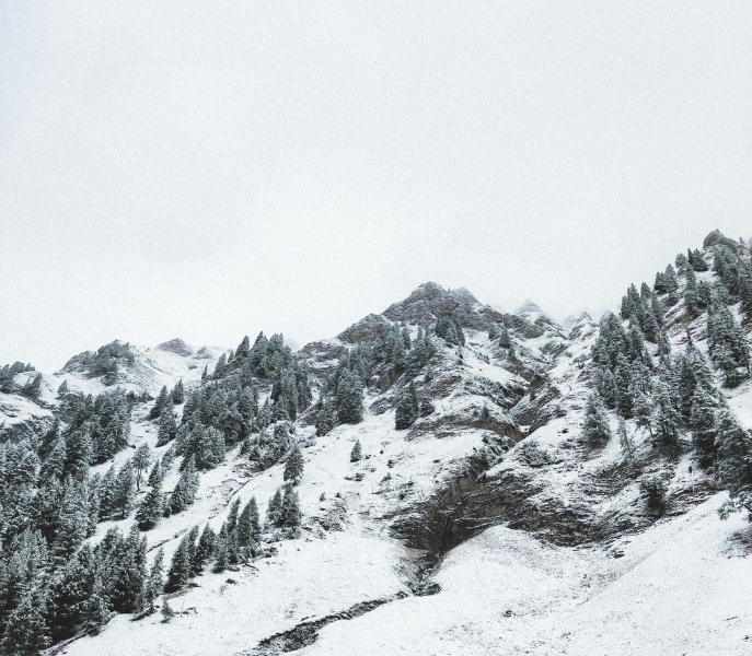 Sneeuwzekere wintersport in Tirol: waarom Imst een centraal gelegen uitvalsbasis is