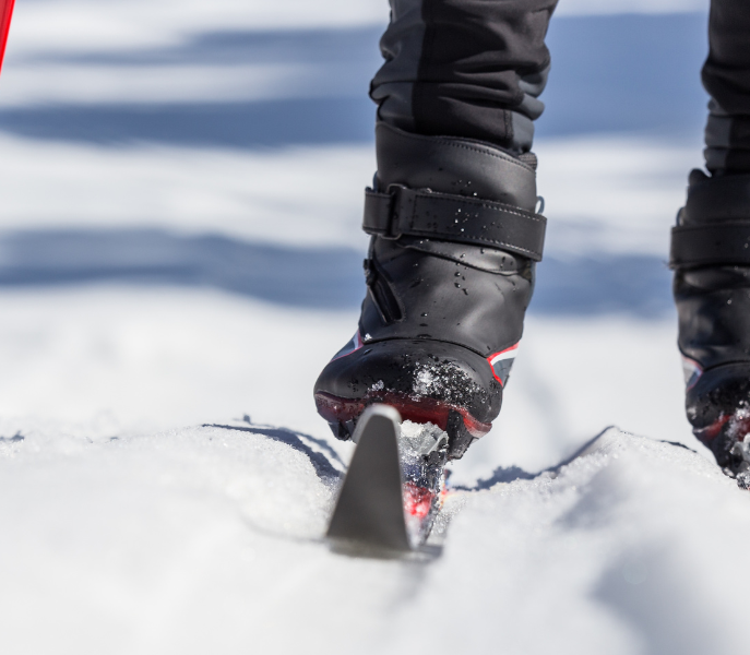 Winterwandelen en langlaufen rond Viehhofen