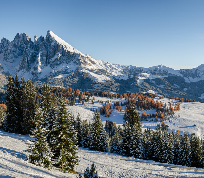 Beleef Ortisei: perfecte mix van cultuur en skiën