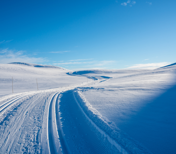 Predazzo als toegangspoort tot Latemar en Alpe Lusia