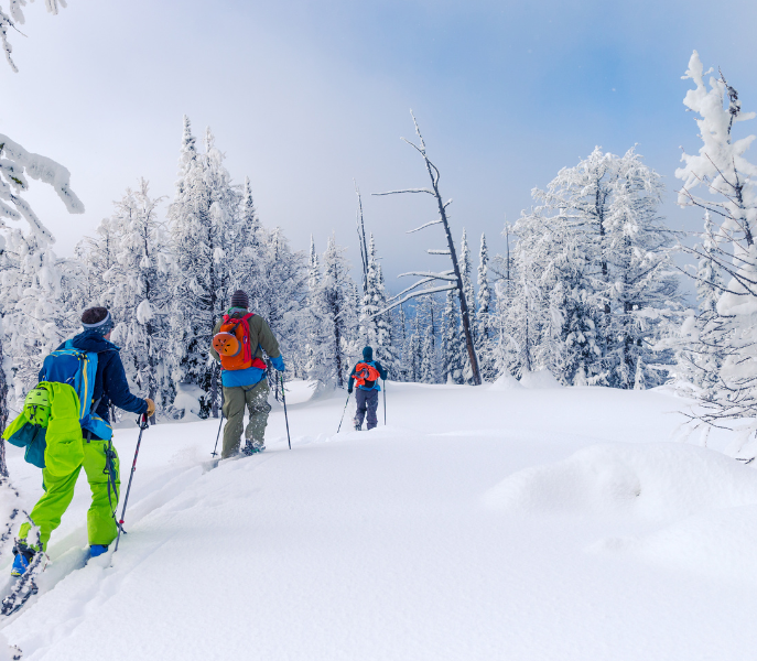 Actief genieten buiten de pistes in Zell am Ziller: winterwandelen en langlaufen