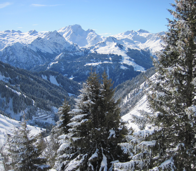 Wiesing in de winter: sneeuwzeker en centraal gelegen