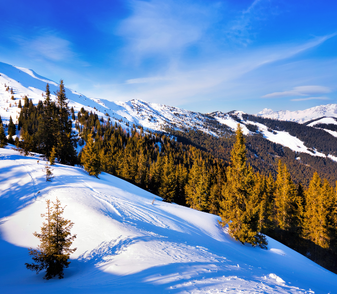 Zomer en winter in Zell am See: twee seizoenen, twee ervaringen
