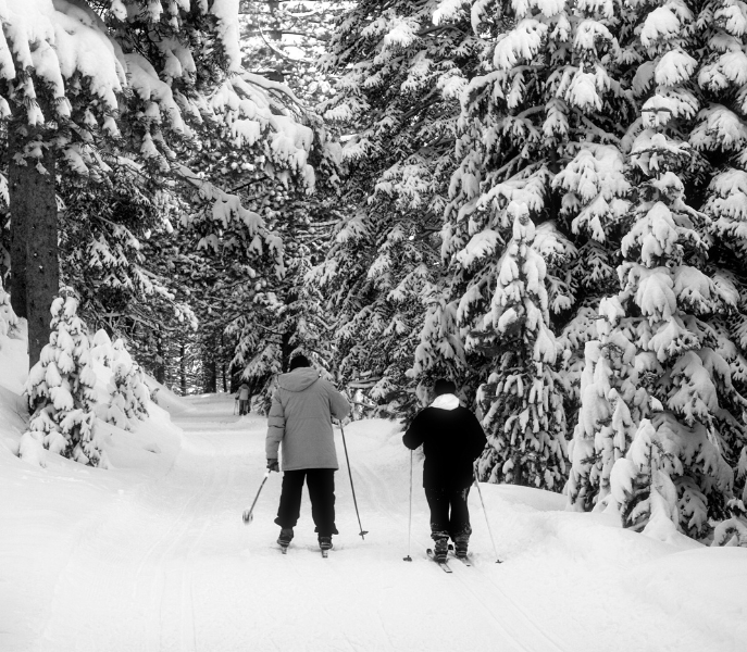 Winterwandelingen en langlaufen rond Söll: rustige routes met uitzicht op de Wilder Kaiser
