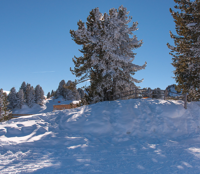Sneeuwzekere wintersport in het Paznauntal: Kappl als rustige basis