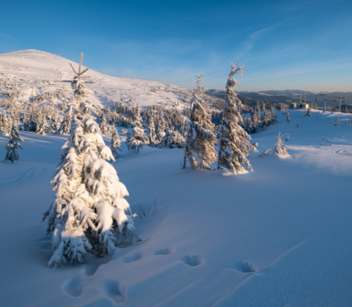 Uitzicht als hoofdrolspeler: kabelbanen en panorama’s rond Lermoos