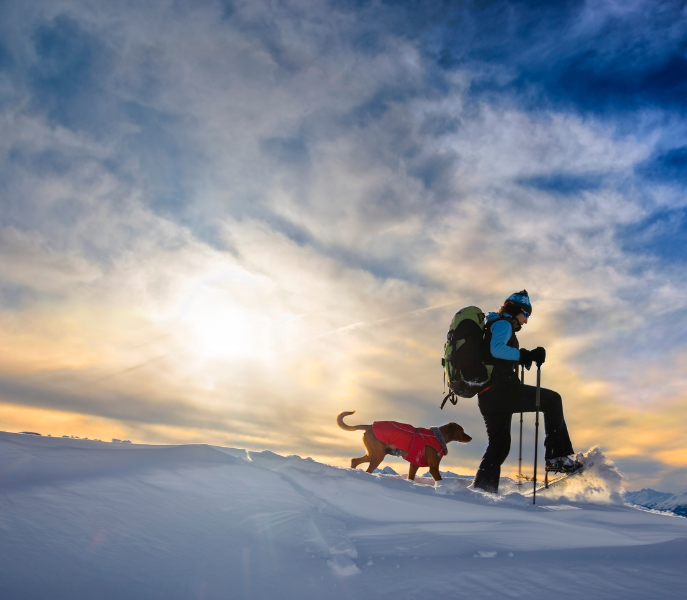 Winterse dalroutes: wandelen en langlaufen rond Längenfeld