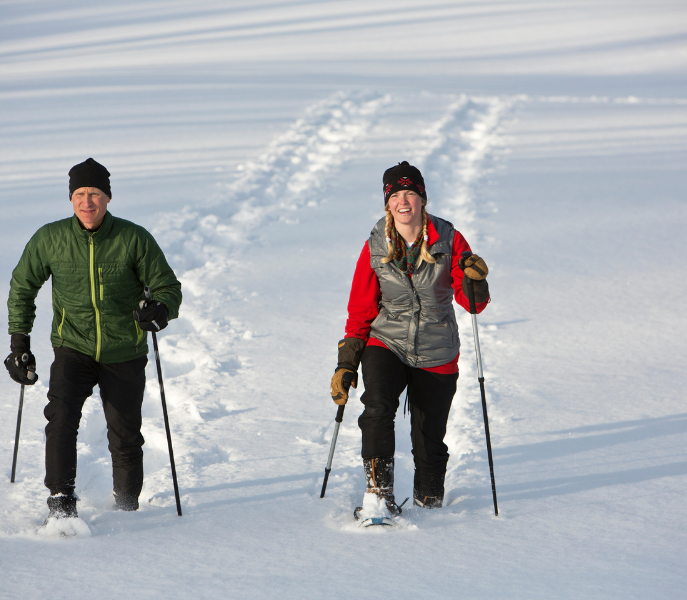 Rustige winterroutes door het Hohe Tauern-gebied bij Mittersill