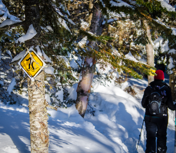 Sneeuwschoenwandelen in Fieberbrunn: een unieke ervaring