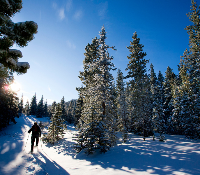 Winterse rust rond Lermoos: wandelpaden en loipes in de Zugspitz Arena