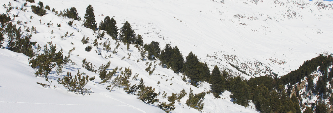 oostenrijkse alpen 1 
