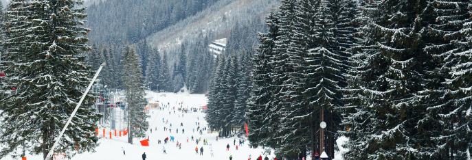 ski 1 