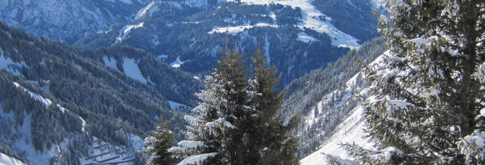 sneeuw 2 