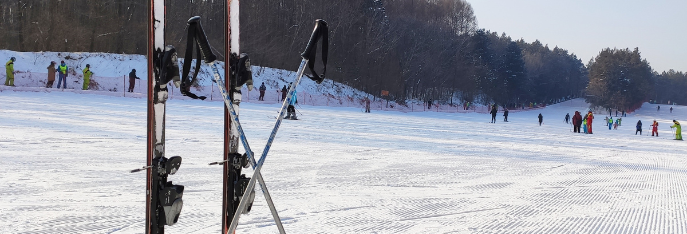 skien 11 