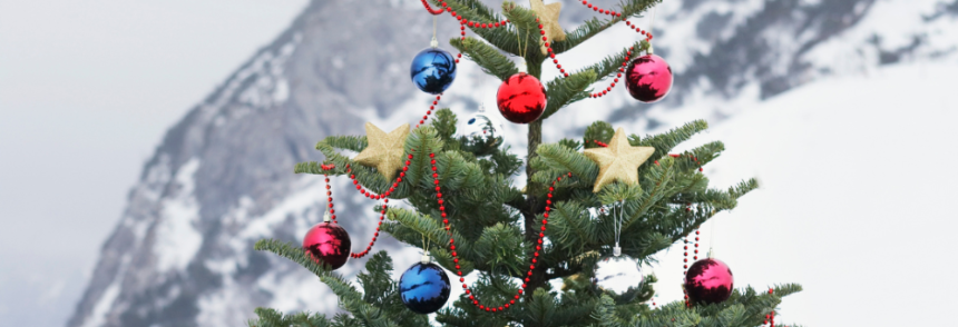 kerstboom