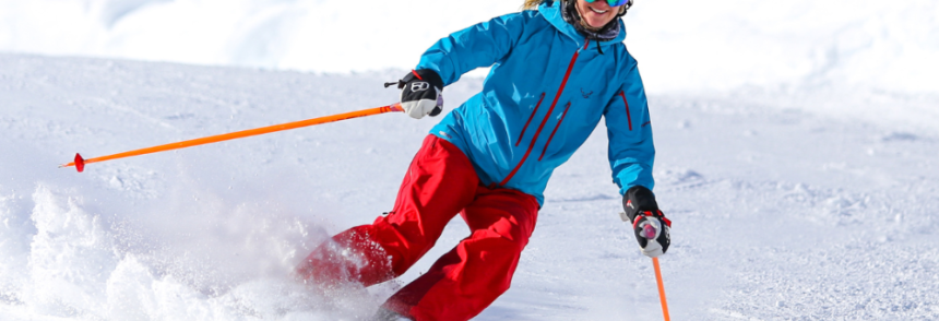 ski n