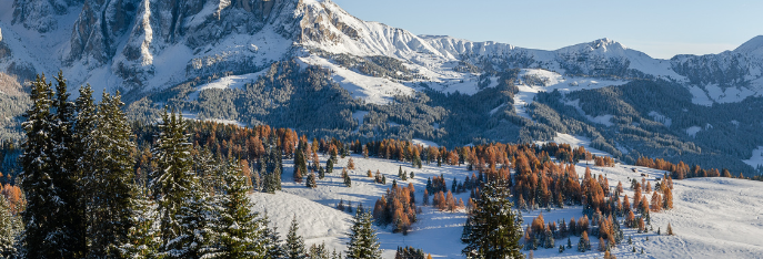 ortisei   seiser alm 