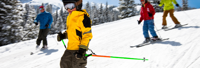familie ski n