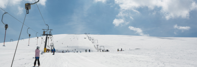 ski