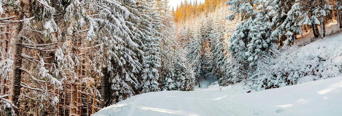 skiroute