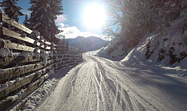 Viehhofen