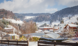 Wildschönau