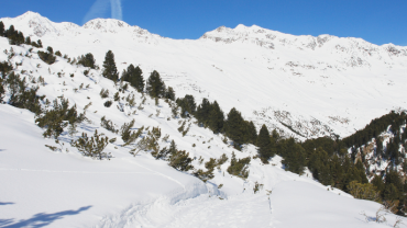oostenrijkse alpen 1 