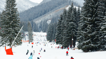 ski 1 