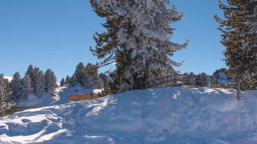 mayrhofen