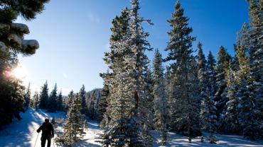 sneeuwschoenwandeling 1 