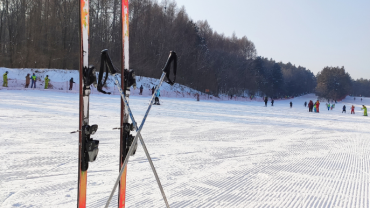 skien 11 