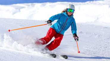 ski n